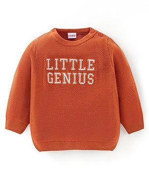 Babyhug Knit Full Sleeves Sweater with Text Design - Orange