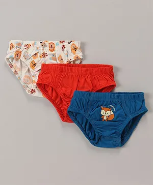 Briefs, Pullover, 9-12 Months, Multi Color - Inner Wear & Thermals Online