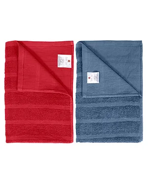 Divine Casa 100% Cotton 250 GSM Quick Dry Bath Towel Red and Grey Pack of 2 Red and Grey