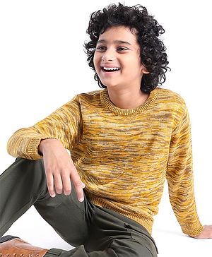 Pine Kids  Full Sleeves Round Neck Sweater- Mustard