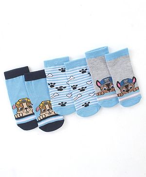 Cute Walk by Babyhug Cotton Blend Ankle Length Anti Bacterial Socks Paw Patrol Design Pack of 3 - Blue