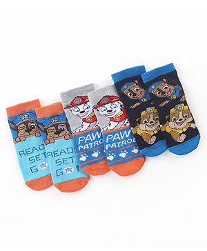 Cute Walk by Babyhug Cotton Blend Ankle Length Anti Bacterial Socks Paw Patrol Design Pack of 3 - Grey & Blue