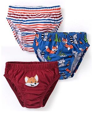 Babyhug 100% Cotton Knit Briefs Striped and Fox Print Pack of 3 - Multicolor