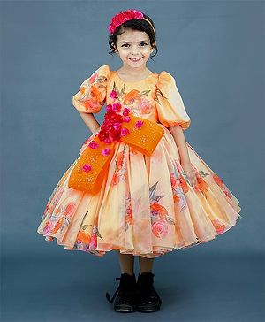 Li&Li BOUTIQUE Organza Half Sleeves Floral Applique Detailed & Printed Gown With Headband - Pale Peach & Orange