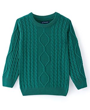 Pine Kids Knitted Full Sleeves Pullover Sweater with Cable Knit Design - Green