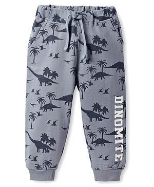 Babyhug Terry Knit Full Length Lounge Pant With Dino & Text Print - Grey