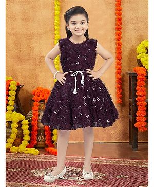 Aarika Fur Woven Sleeveless Sequins Embellished Dress - Wine