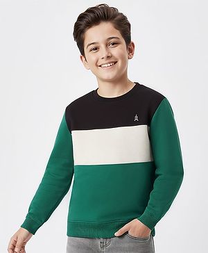Pine Kids Cotton Knit Full Sleeves Solid Color Pullover Cut & Sew Sweatshirt - Mint