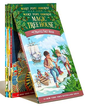 Magic Tree House Volumes 1-4...