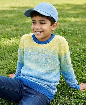 Pine Kids Knit Full Sleeves Pullover Sweater with Ombre Design - Multicolor
