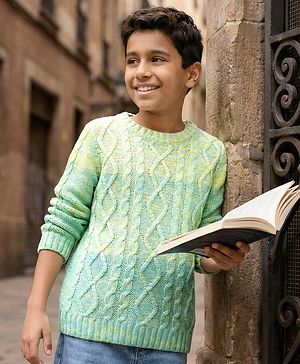 Pine Kids Knit Full Sleeves Pullover Sweater with Cable Knit & Ombre Design - Light Green