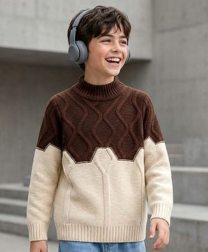 Pine Kids Knit Full Sleeves Pullover Sweater with Color Block & Cable Knit Design - Brown