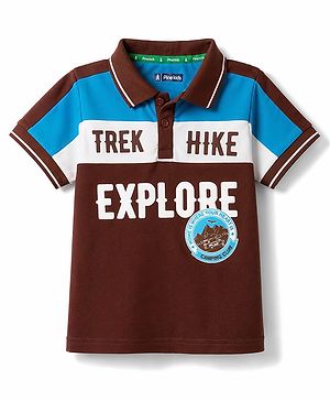 Pine Kids Cotton Knit Half Sleeves Polo T-Shirt with Colour Block Design & Text Print - Brown