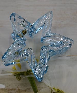 Little Miss Cuttie Star...