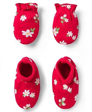 Babyhug 100% Cotton Knit Mittens & Booties with Floral Print - Multicolor