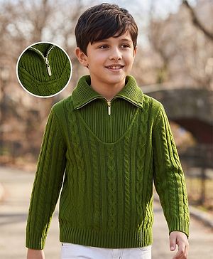 Pine Kids Knit Full Sleeves Pullover Sweater With Cable Knit Design - Green