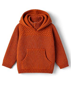 Babyhug Knit Full Sleeves Hooded Solid Sweater - Rust Orange