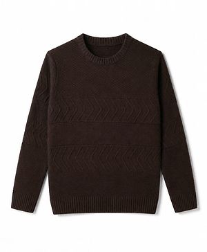 Pine Kids Knit Full Sleeves Solid Textured Pullovers - Brown