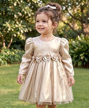 Babyhug Knit Full Sleeves Party Dress With Flower Applique - Golden