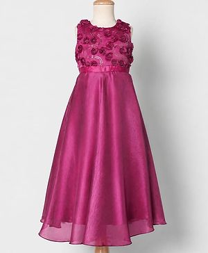 Pine Kids Organza Woven Sleeveless Party Dress With Floral Applique - Maroon