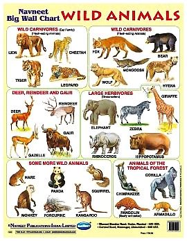 Animals Images Chart