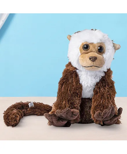 cheeky monkey soft toy