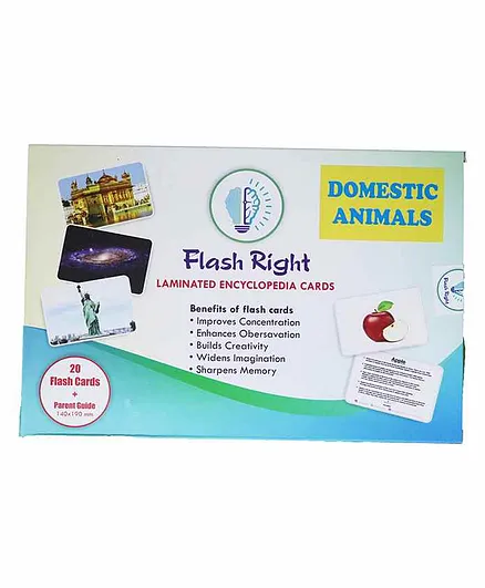 Flash Right Laminated Encyclopedia Domestic Animals Cards - 21 Pieces