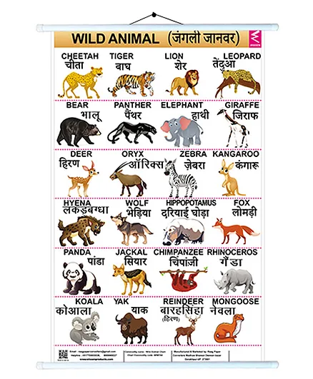 Wissen Wild Animals Design Roller Wall Chart - English Hindi