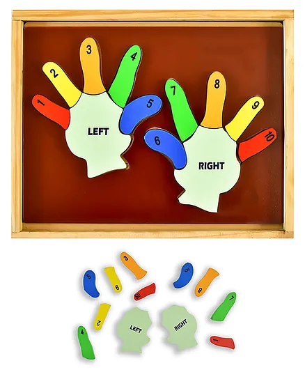 Ilearnngrow Learn the Counting Left Hand and Right Hand Puzzled Multicolour - 13 pieces 