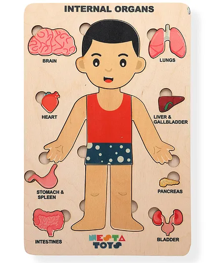 Nesta Toys Human Body Internal Organs Puzzle - 14 Pieces