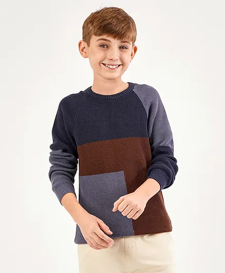 Primo Gino 100% Cotton Full Sleeves Colour Block  Sweater - Multicolour