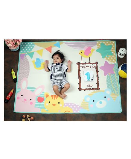 New Comers Milestone Blanket And Props For Baby'S Monthly Photoshoot - Multicolor