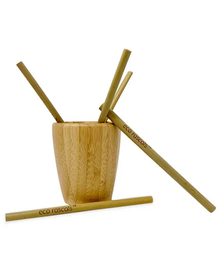 eco rascals Bamboo Straws Pack of 5 - Length 15 cm