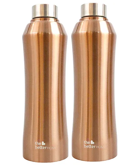 The Better Home Glacia SS Water Bottle Gold  Set of 2 - 1 L Each