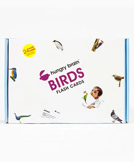 Hungry Brain Birds 24 Flash Cards - Multicolor