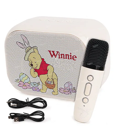 Toysire Speaker Karaoke Machine with Handheld Mics,Learning Toy with Voice  Recording, Bluetooth and USB, Birthday Gift Online in India, Buy at Best