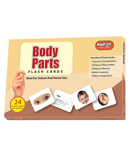 Krazy Body Parts Flash Cards Pack of 24 - Multicolor