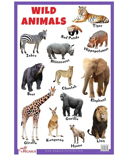 Wild Animals Educational Chart - English Online in India, Buy at Best Price  from  - 2515171