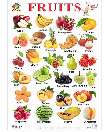 Fruits Chart In English