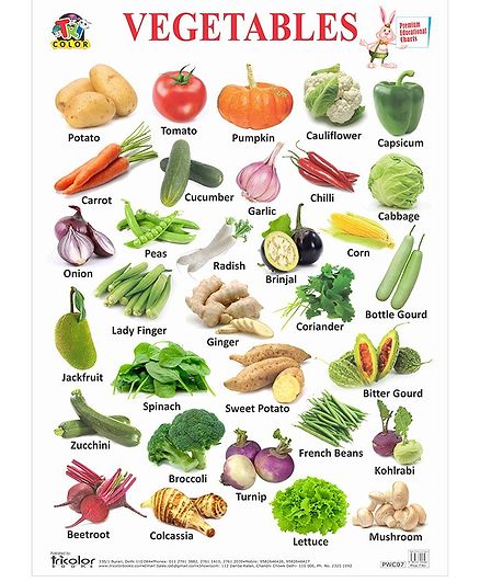 Vegetables Chart For Kids Learning