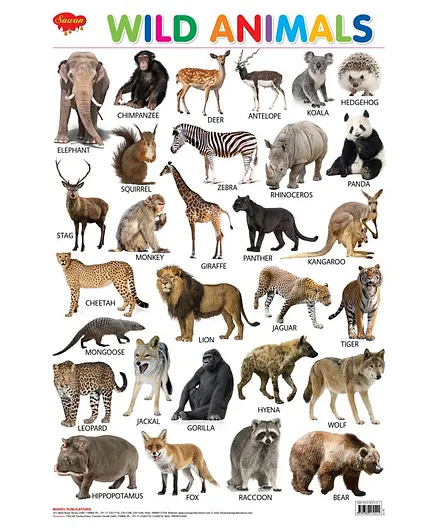 Sawan Wild Animals Wall Chart - English Online in India, Buy at Best Price  from  - 3322359