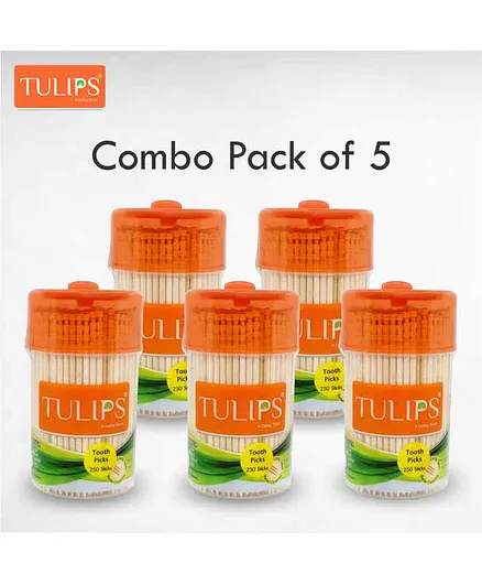 Tulips Toothpicks with Wooden Jar Pack of 5 - 250 Pieces Each