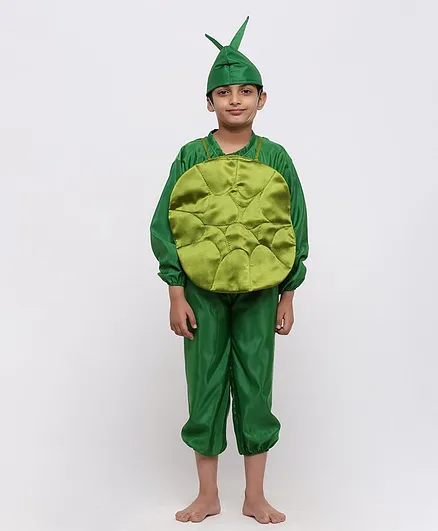 Chipbeys Fruit Guava Full Sleeves Fancy Dress Costume With Prop & Cap - Green
