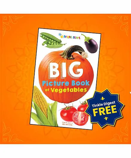 Amar Chitra Katha Big Picture Book of Vegetables - English