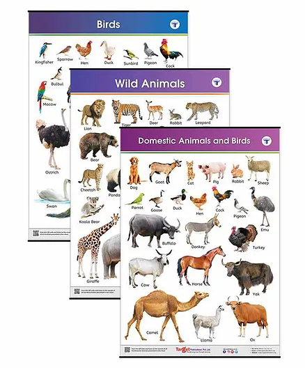 Target Publication Animals and Birds Educational Chart Pack of 3 - English  Online in India, Buy at Best Price from  - 8134013