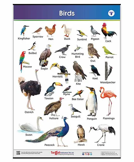 Target Publication Birds Educational Chart - English