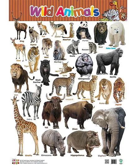 Future Book Wild Animals Both Side Chart - English Online in India, Buy at  Best Price from  - 850680