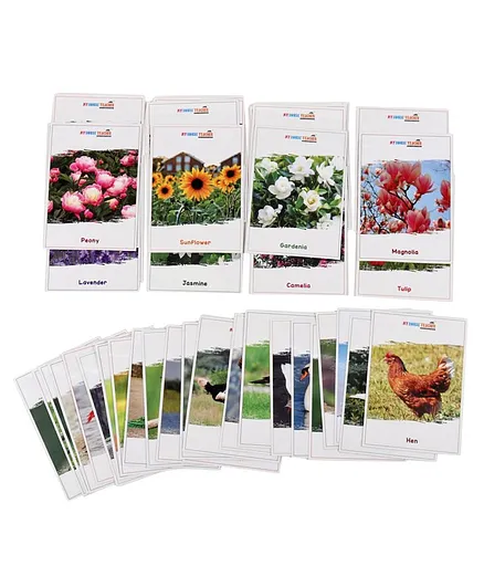 My House Teacher Flower And Birds Flashcards Multicolor - 48 Cards