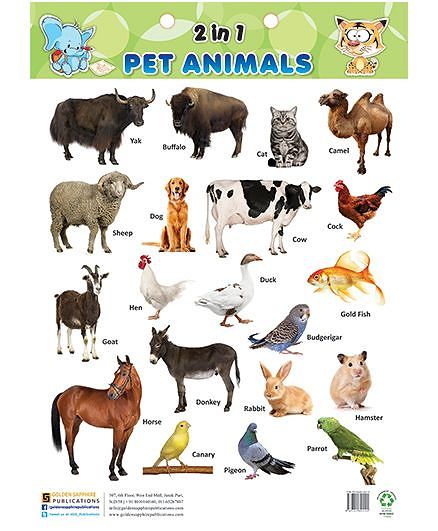 Trending Domestic Animals Names List PNG - Temal