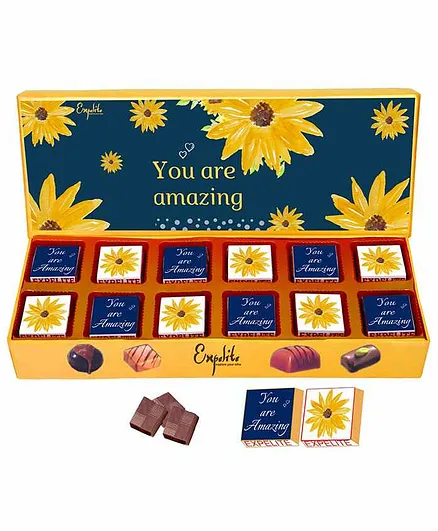 Expelite You Are Amazing Chocolate Gift - 200 gm
